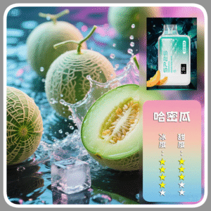 SP2S思博瑞GEM9000口一次性拋棄式電子煙【哈密瓜】